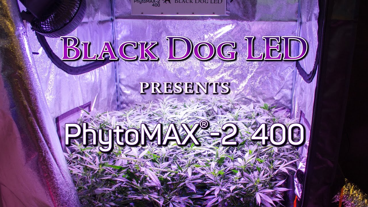 PhytoMAX-2 400