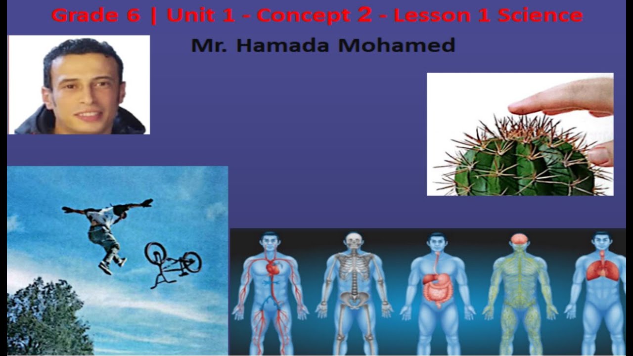 Grade 6 | Unit 1 - Concept 2 - Lesson 1 Science  Mr. Hamada Mohamed