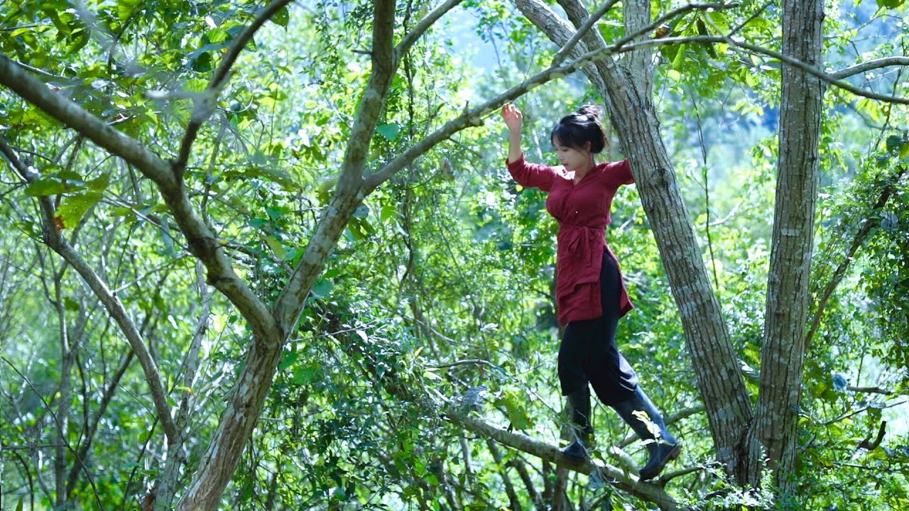 Жизнь пурпурного риса, тыквы и арахиса丨Liziqi Channel