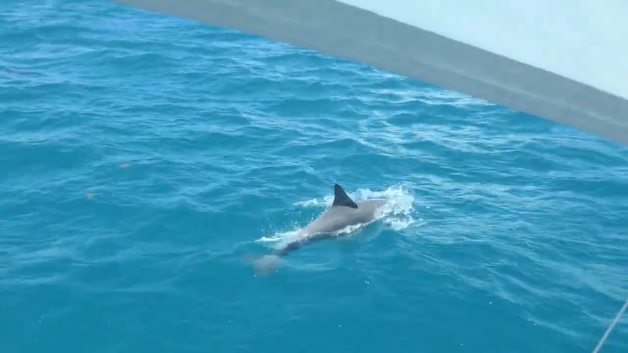 In barca a vela a Barbuda – Emozioni caraibiche