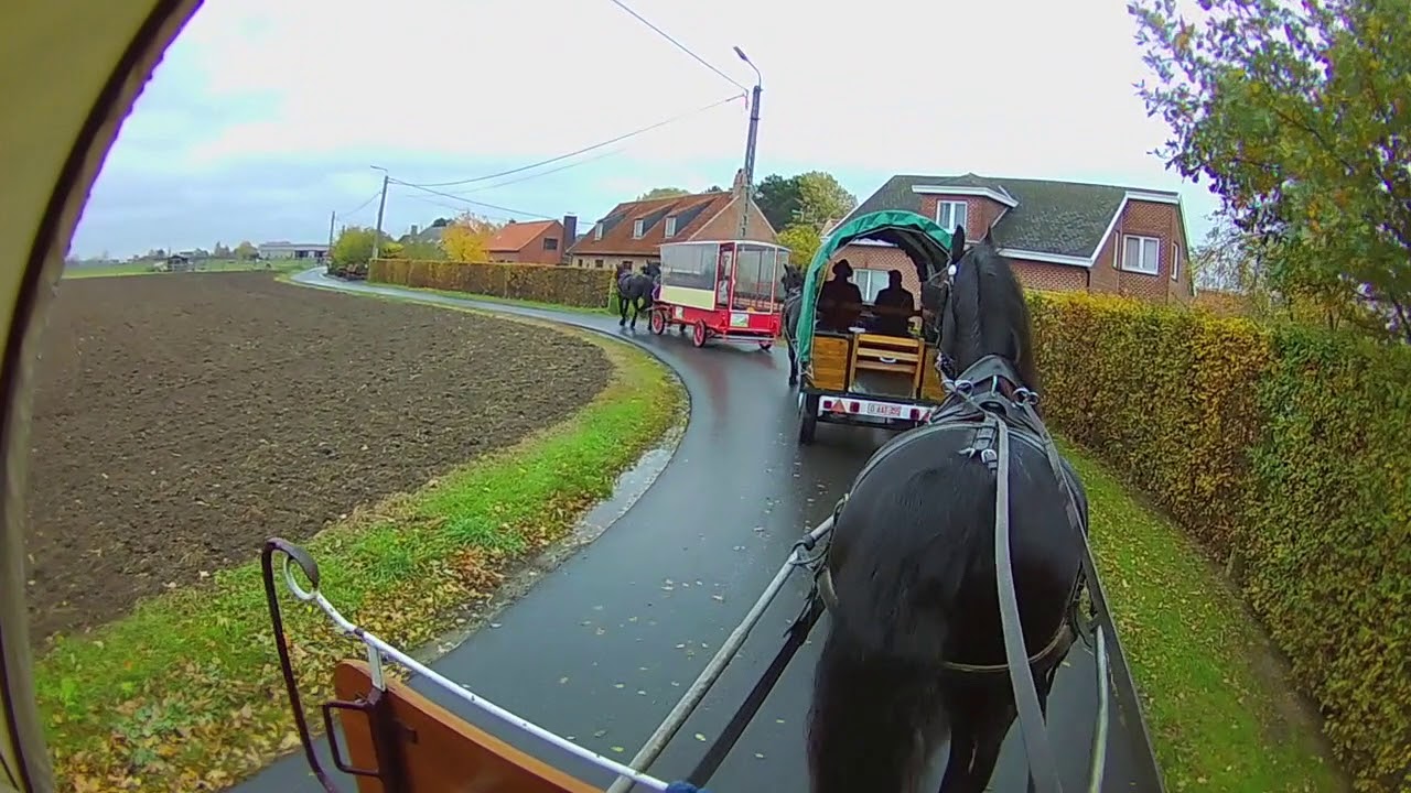 Vlaamse Ardennen Koets