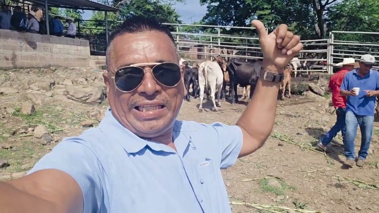 En el Mejor Tiangue de Ganado 🐮 de El Salvador 🇸🇻