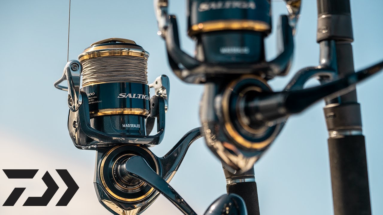 Fishing Barracuda and Goliath Grouper with Saltiga Spinning and Saltiga LD Reels