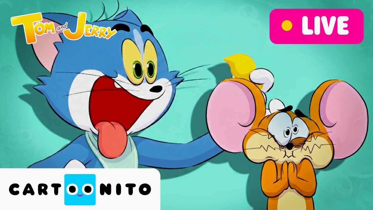 🔴 LIVE: Tom & Jerry for Kids | Learning with TOM and JERRY | #tomandjerry #cartoonsforkids #learning