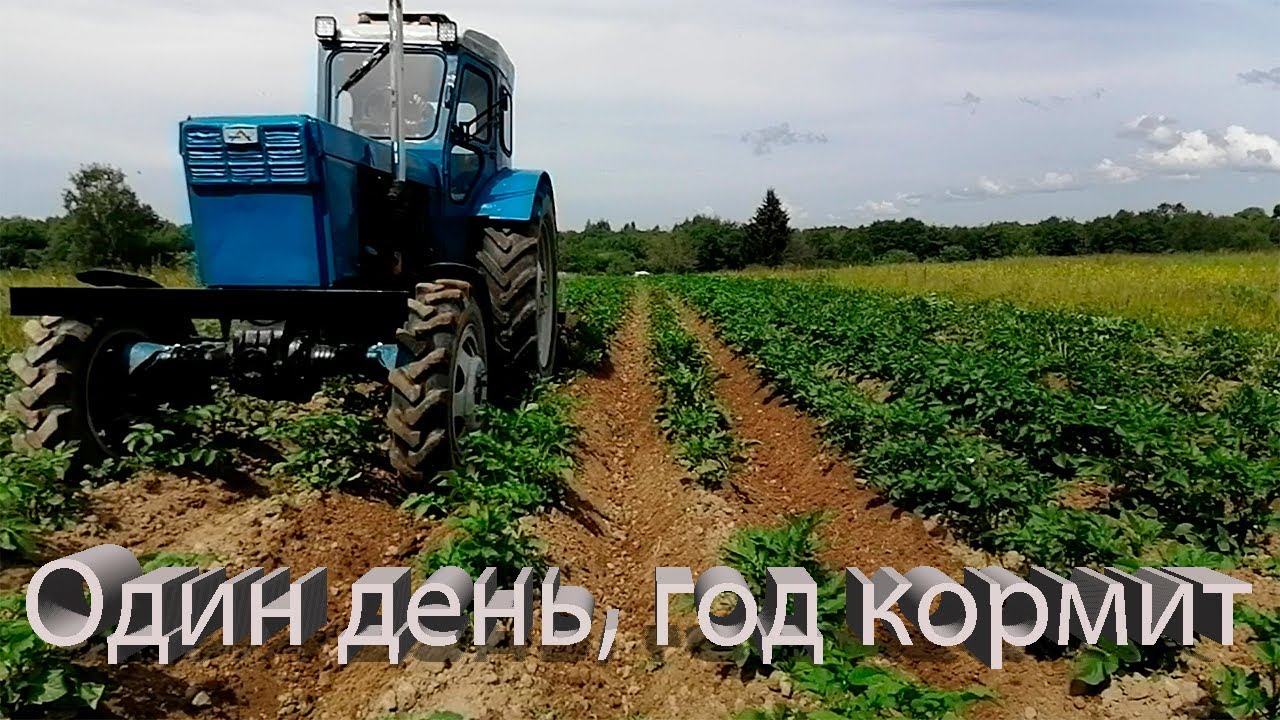 Т-40/ Обработка картохи/ Ежи в деле