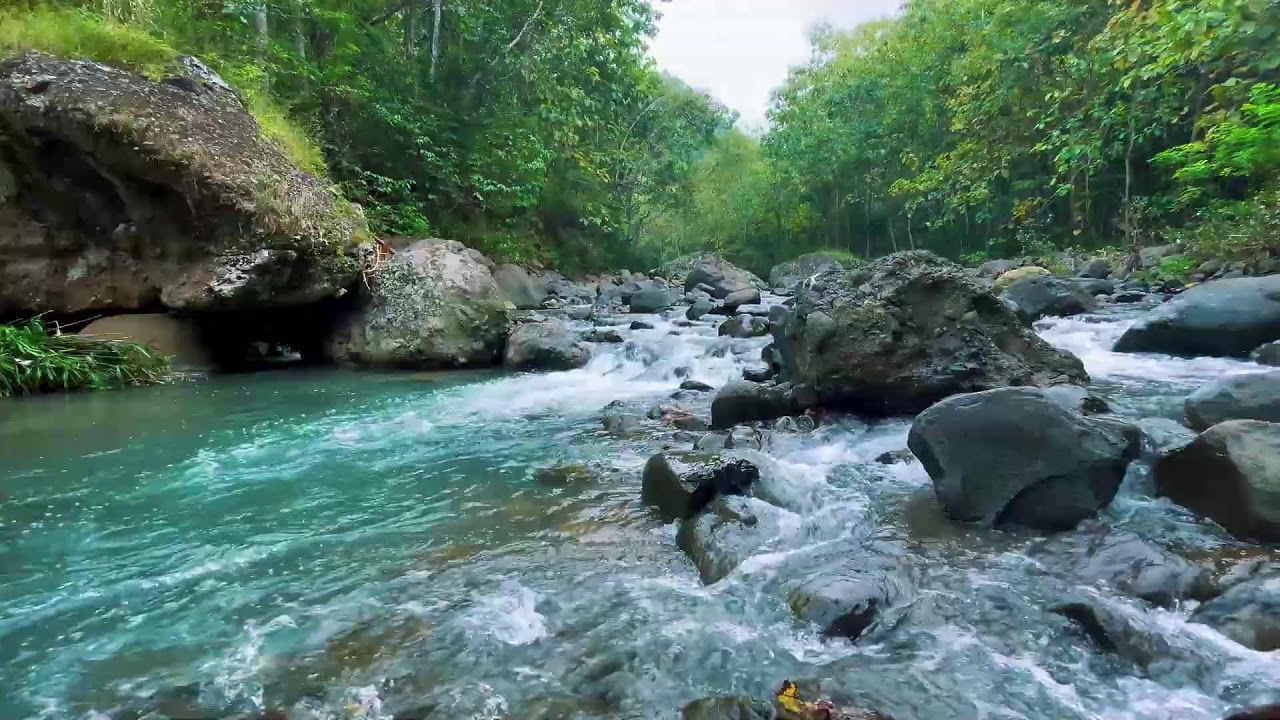 River Sounds for Deep Sleep (No Music, Natural Water)