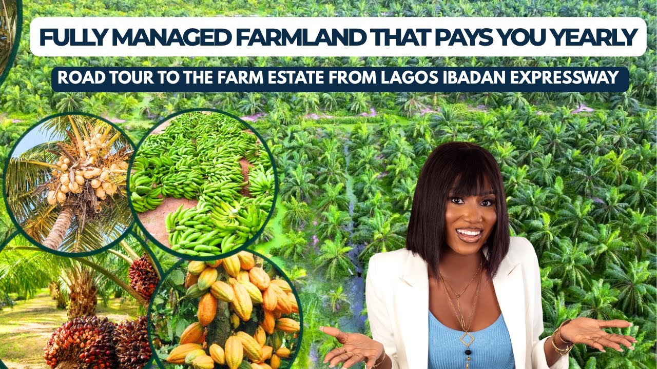 Farmland For Sale In Ogun State Nigeria|Road Tour|How To Invest & Earn From Fully Managed Farmland 