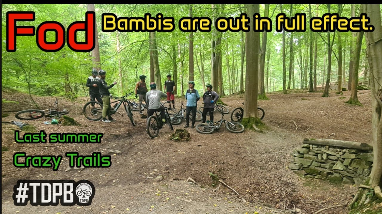 Forest of Dean Single Track