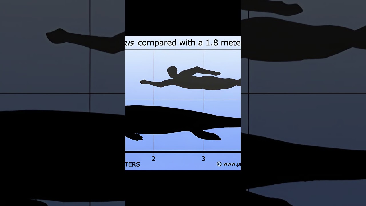 Dakosaurus! Dino Short #139