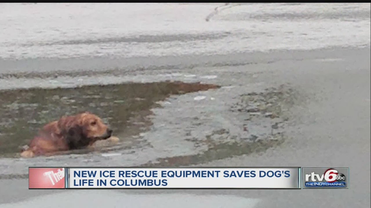 New equipment helps Columbus Fire Department rescue dog from icy lake
