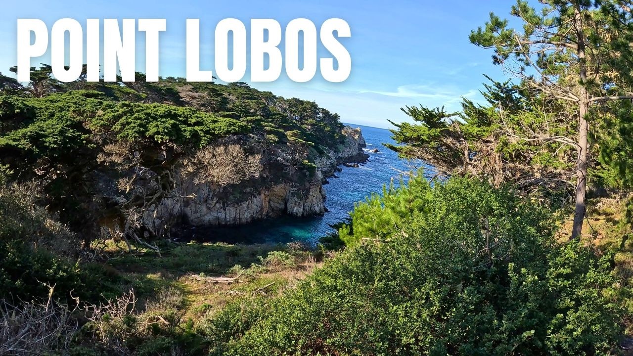 POINT LOBOS LOOP | The ULTIMATE GUIDE On California's MOST SCENIC HIKE | #hikingadventures