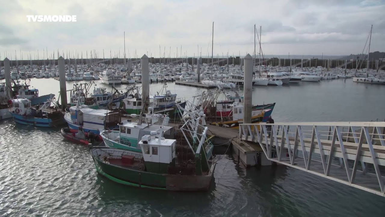 Épicerie fine : Coquilles Saint-Jacques et huîtres de la baie de Saint-Brieuc