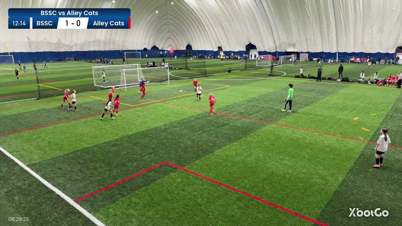 U12 BSSC Lady Lightning vs Alley Cats (First Half)
