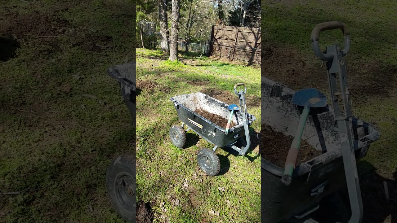 Beginning to Plant and Plan the Berry Patch
