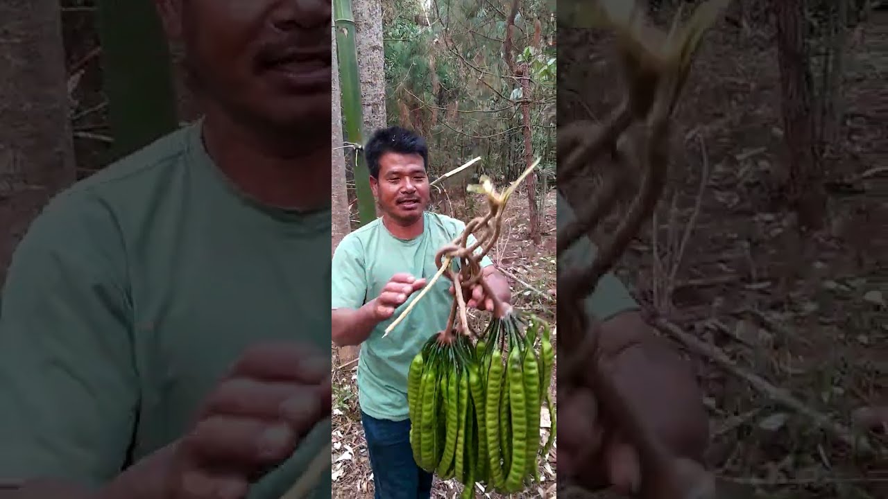 Yongchak heknaba mapam bi kaba sisu yamna yai 