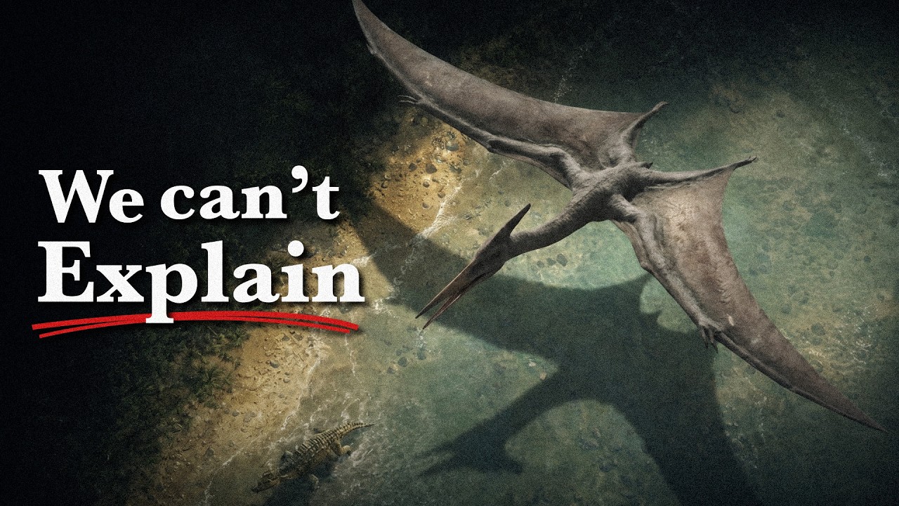 The Largest Predator That Ever Flew - Doesn't Make Sense