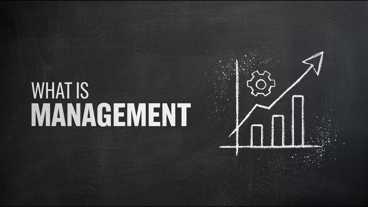 What Is Management? Explained Simply