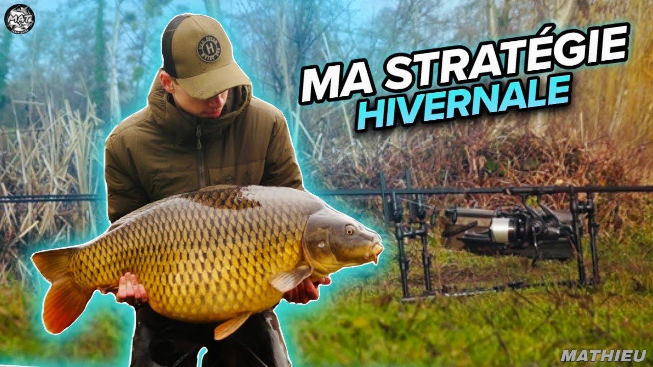 IN SESSION: Ma Stratégie Hivernale !