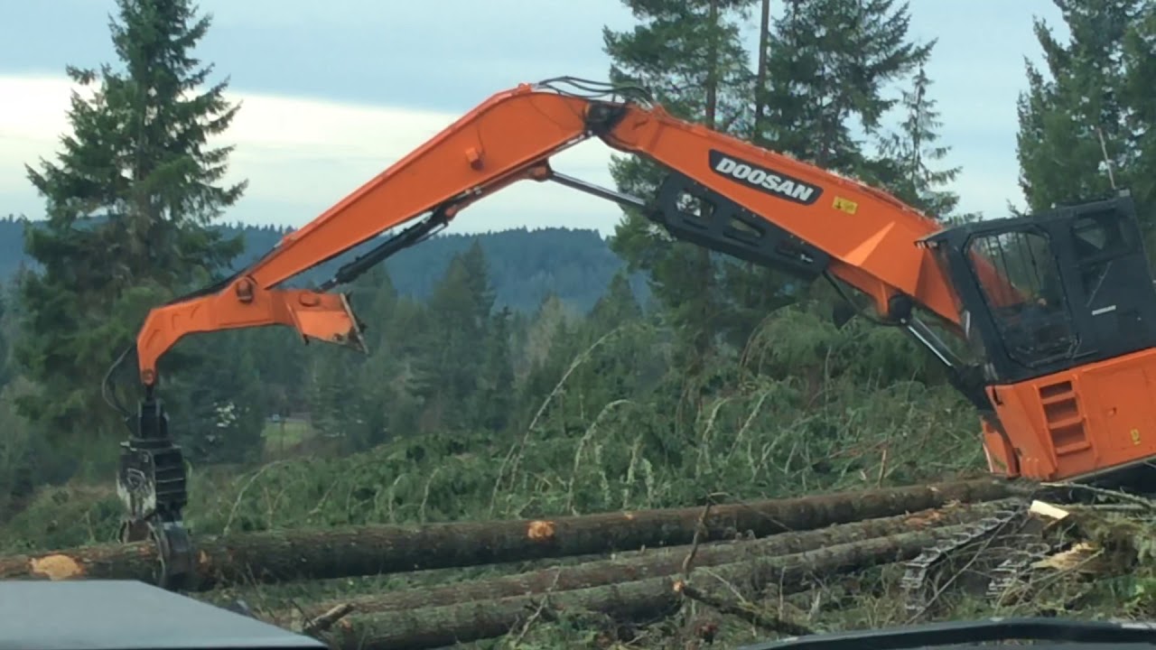 Shovel logging part 4