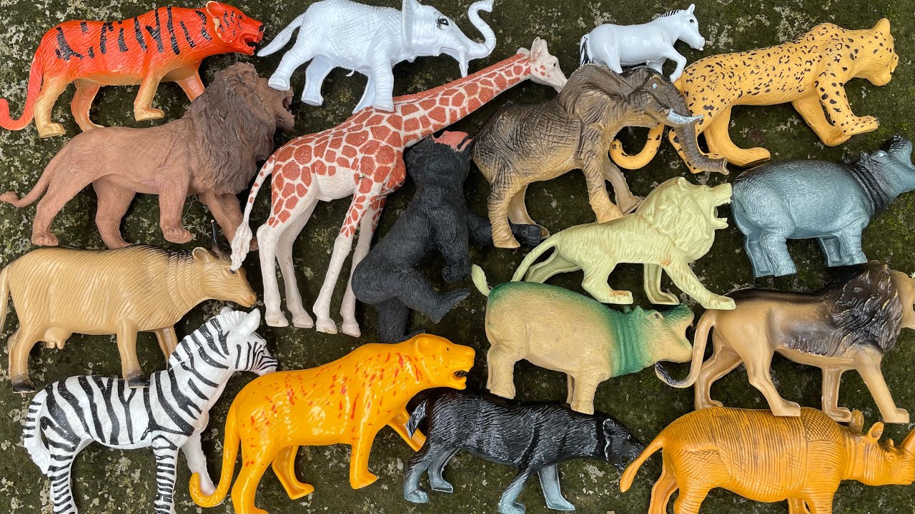 gajah,jerapah,kudanil,harimau,gorilla,macantutul ,singa,badak,sapi