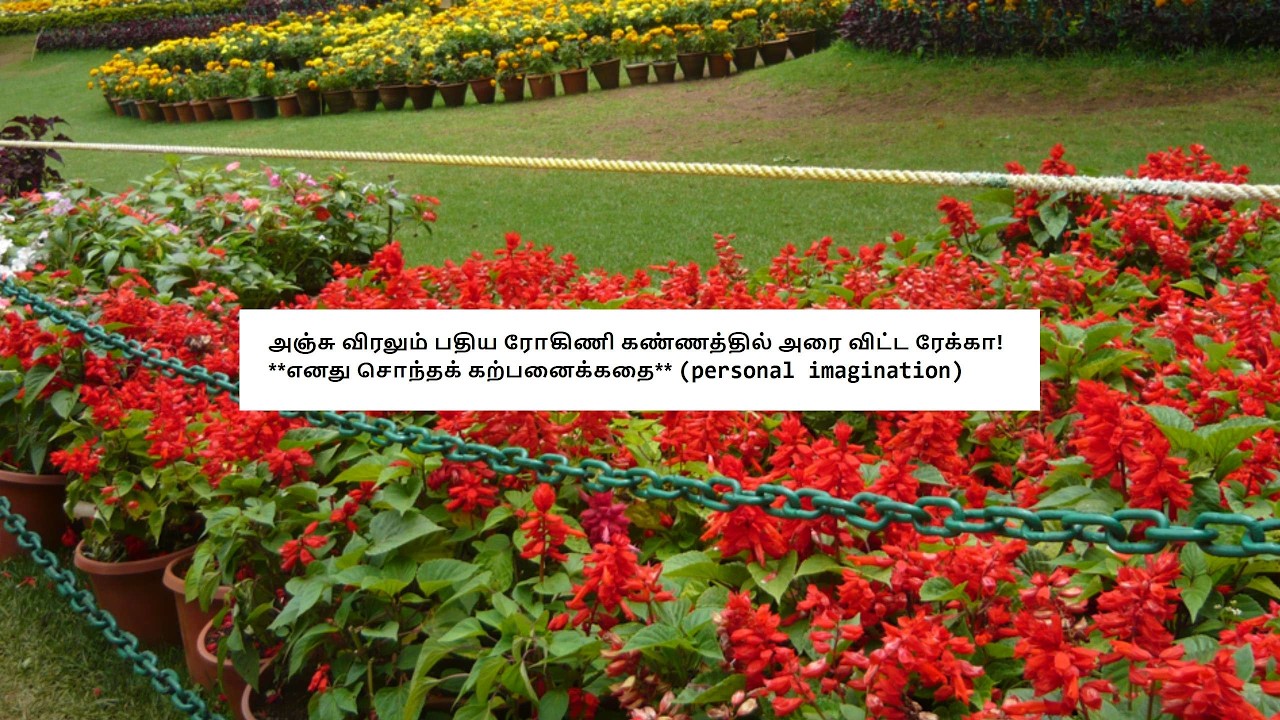 Siragadikka Aasai - Promo 16th & 17th March 2026 Review #1 #siragadikkaaasai Tamil Vijay TV