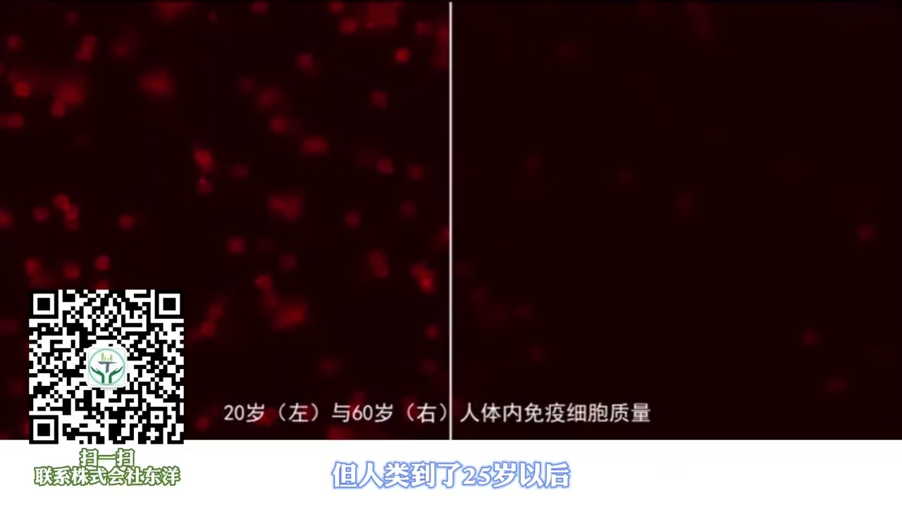 NK细胞有多强大？是否适合免疫疗法？这个视频给你答案。