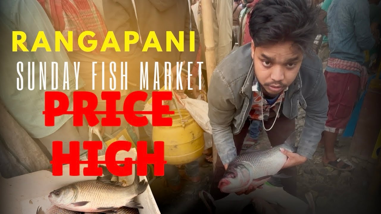 RANGAPANI SUNDAY FISH MARKET WAR | Late To Market, Fish Price High 🐟#laxmanfishvlog #fish #fishing 