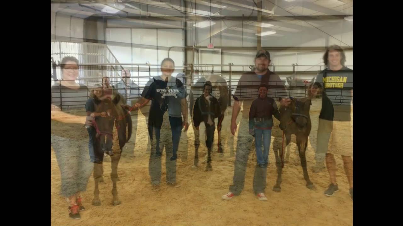 Horse Power in Education: Equine Assisted Learning