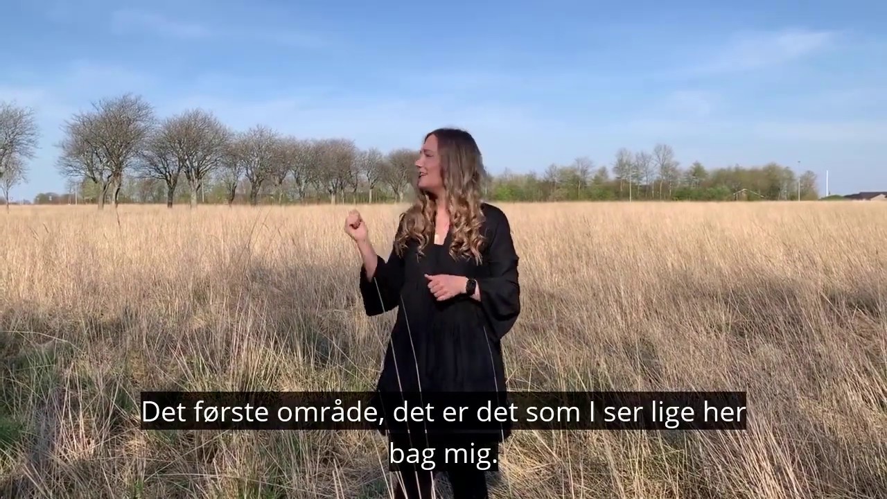 Nyt boligområde i Vejen til august 2020: Kongstedgårds Alle
