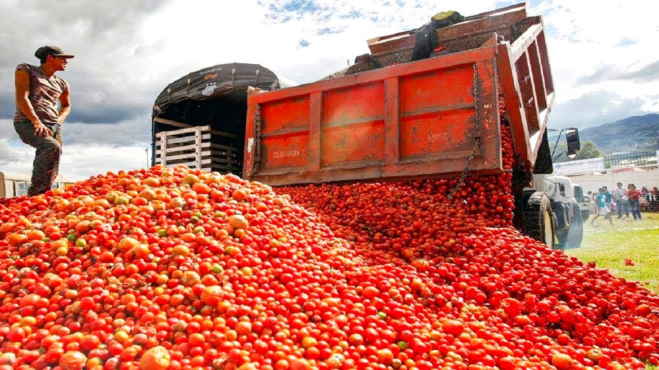 French Farmers Produce Millions Of Tons Of Agricultural Products This Way - French Farming