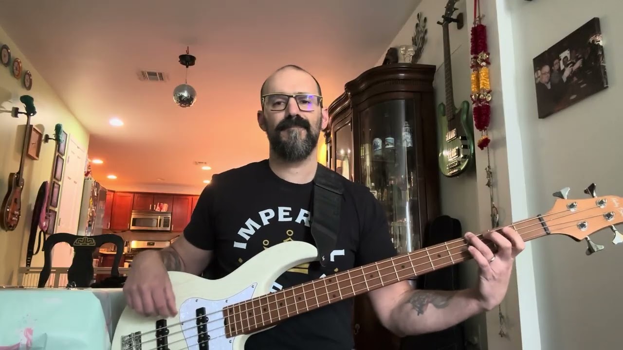 Fiona Apple - Criminal - Bass Cover