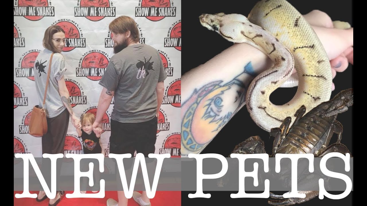 EXOTIC PET EXPO &middot; Show Me Snakes 05/2018