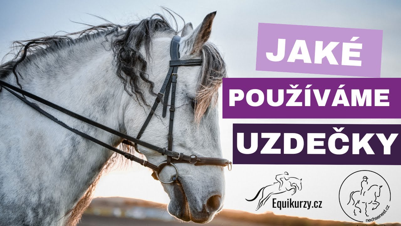 Jaké uzdečky používáme?