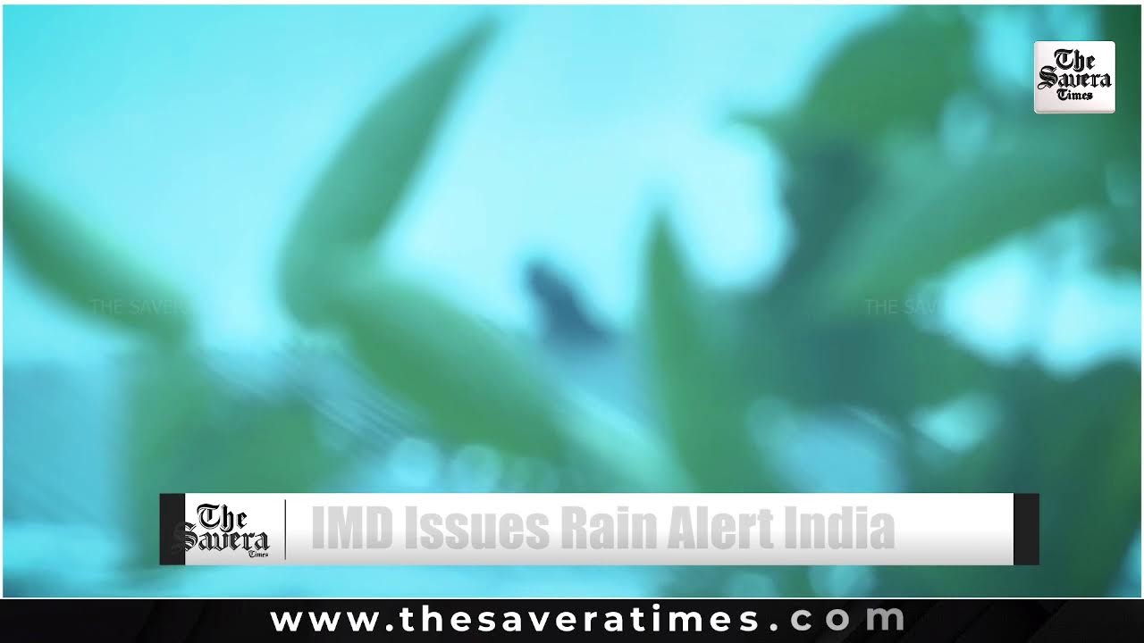 India Weather LIVE Report | 5-Day Rain & Thunderstorm Alert Issued Across North India | IMD Warning