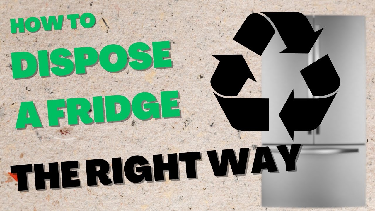 Eco-Friendly Refrigerator Disposal - Save The Ozone And Your Wallet!