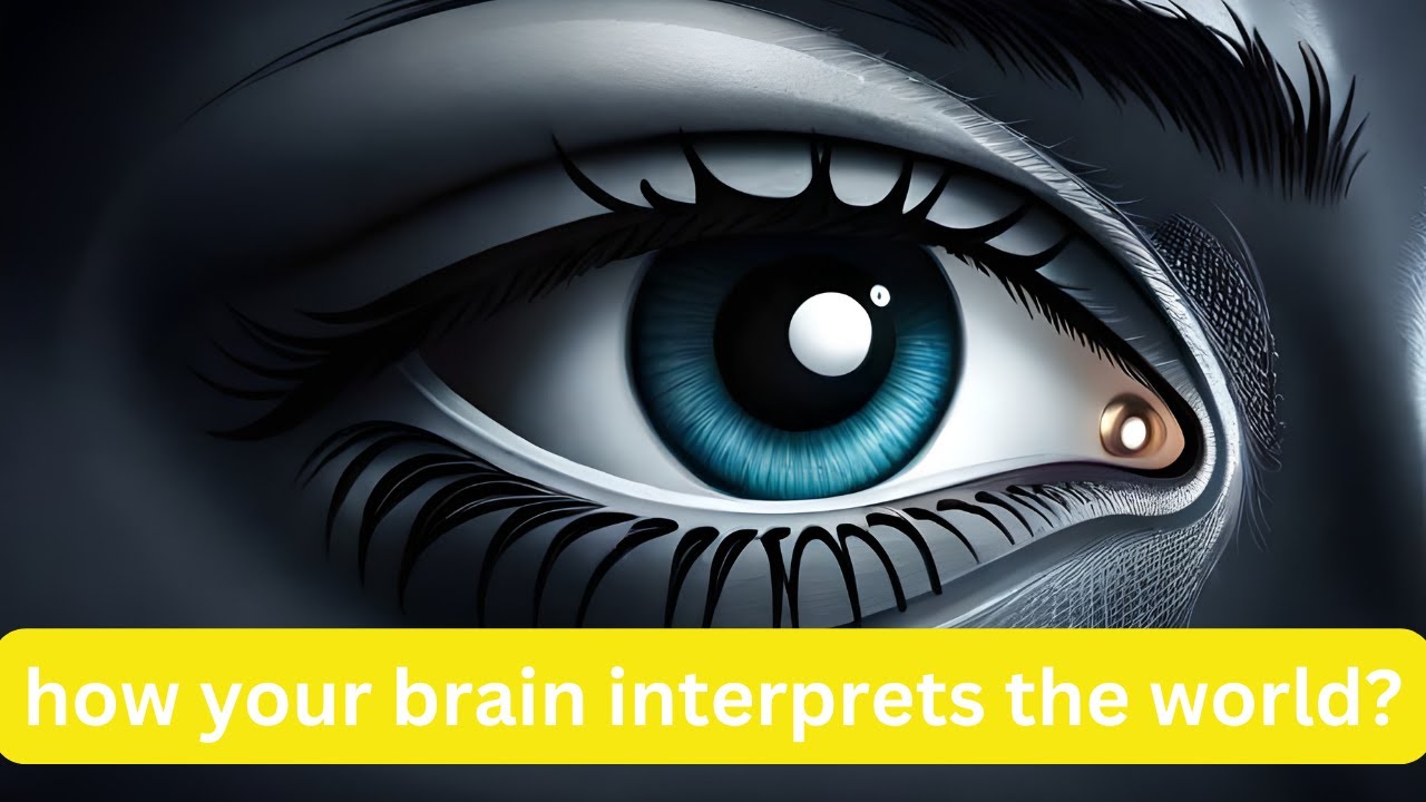 The Science of Perception How We Interpret Our Senses