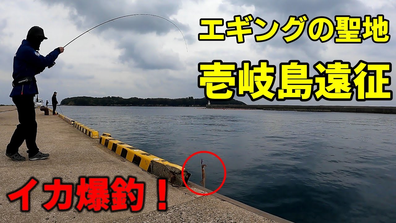 【壱岐島遠征】エギングの聖地でイカを狙ってみたら爆釣して楽し過ぎた！