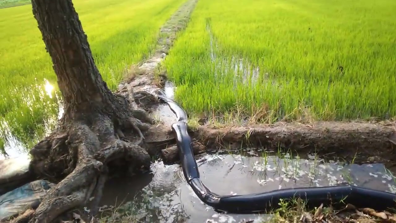 สูบๆๆน้ำต่อเนื่อง