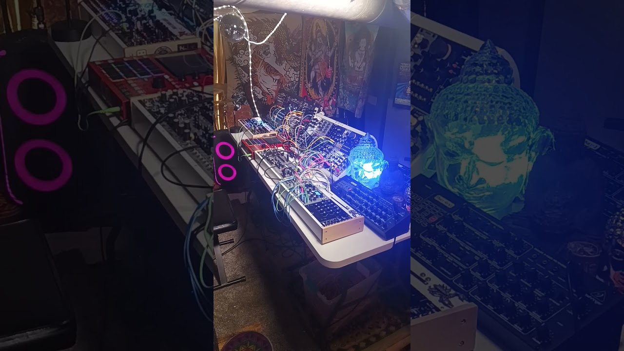 #intellijel #shapeshifter #eurorack #electronicmusic #experimentalmusic #synth #fusion #funk #zen