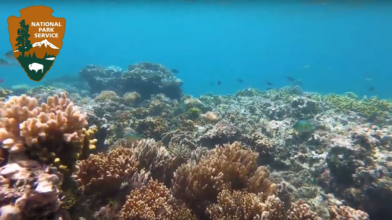 Outside Science (inside parks): Guam