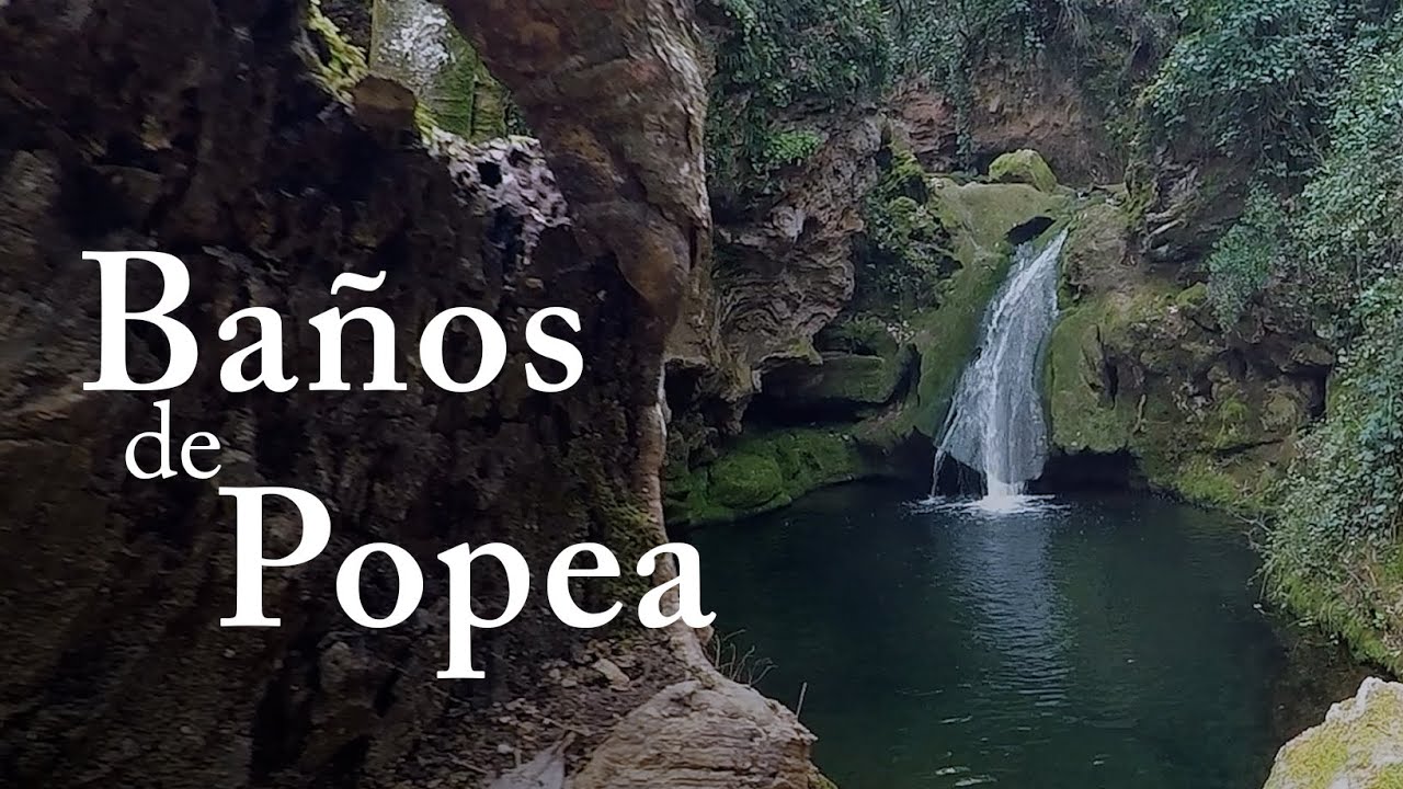 BOSQUE MEDITERRÁNEO | Los Baños de Popea