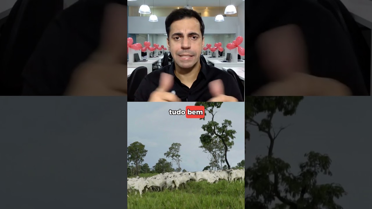 Posso dar sal proteico na seca para vacas de cria? Descubra agora!