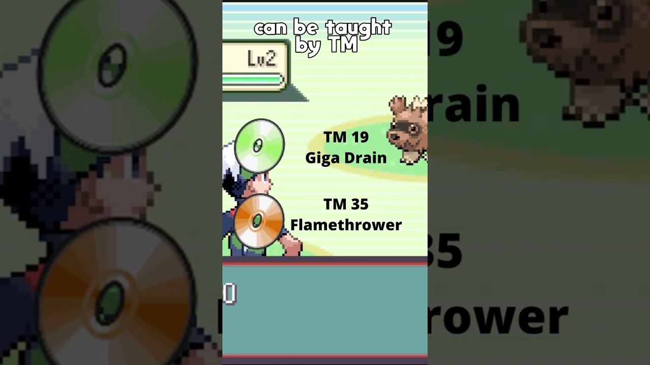 Only Level 42 Mudkip Learns This Move