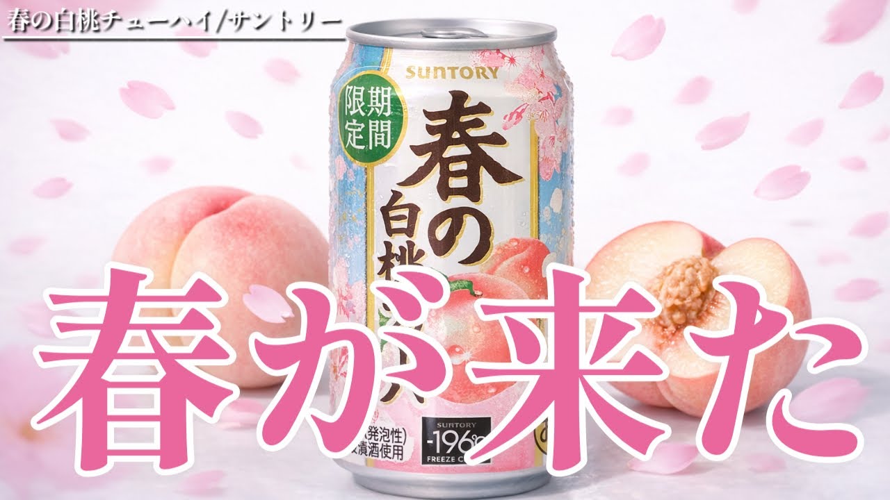 【春来】一足早く春を感じたいならコレ！季節感満載なお味を徹底解説！春の白桃チューハイ〈サントリー〉(2026)をレビュー！【晩酌】新発売RTDレビュー［213］
