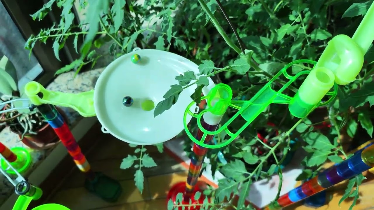 Magnificent JUNGLE Themed Marble Run Race!