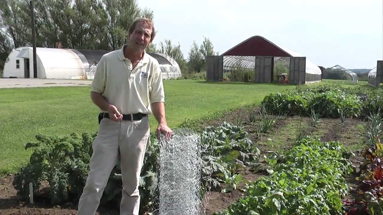 Maintaining the Garden Animal Safety