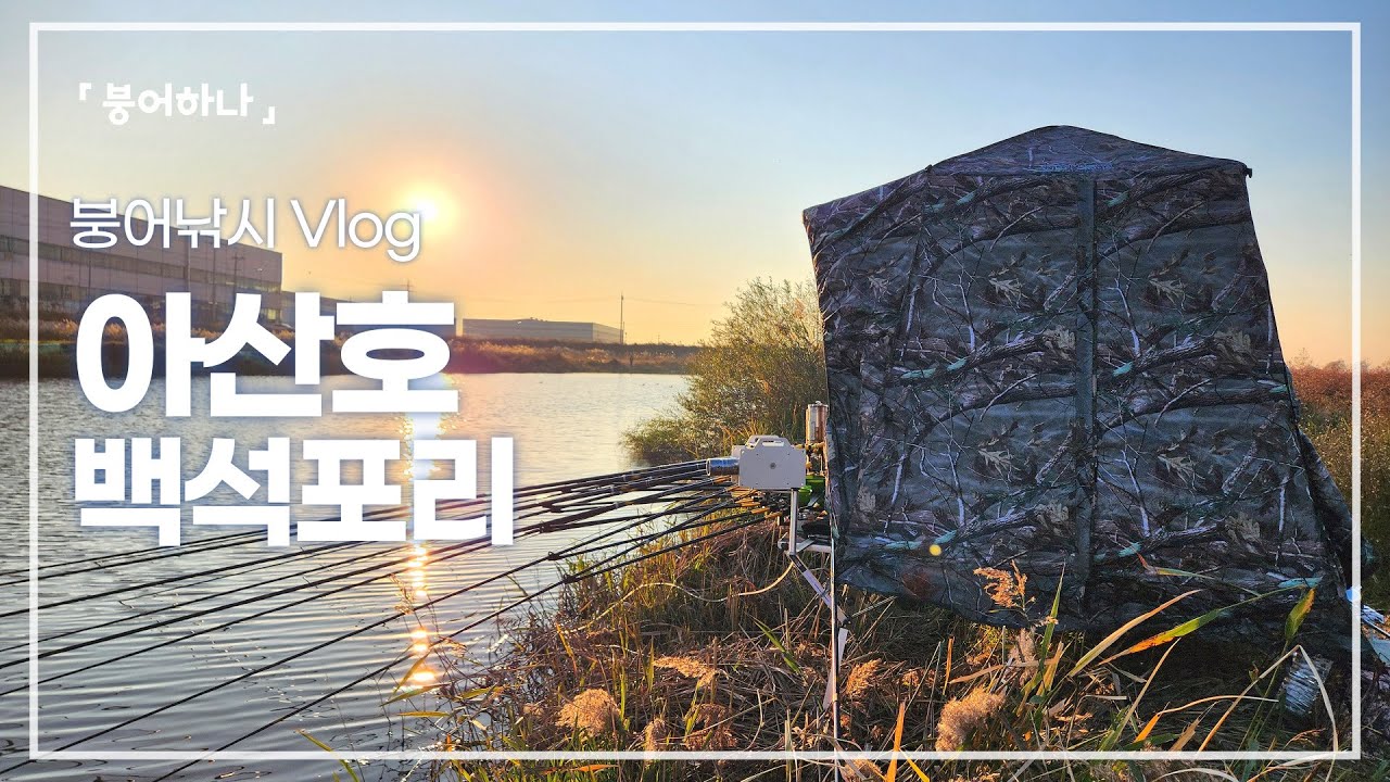아산호 백석포리 수로 하룻 밤 대좌대 펴고 낚시 다녀왔습니다.