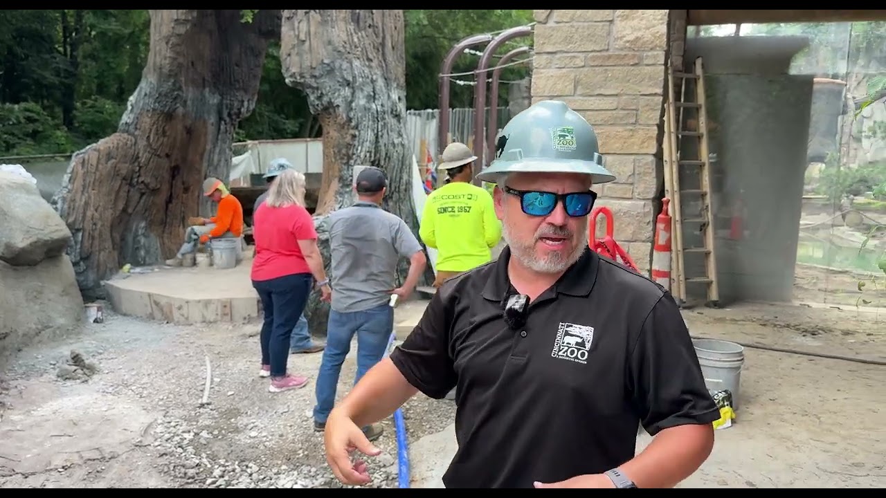Sea Otter Coast Bear Ridge Update July - Cincinnati Zoo