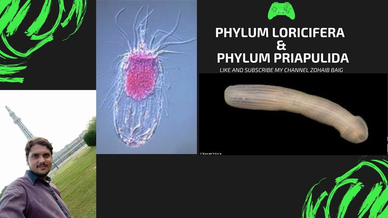 PHYLUM LORICIFERA