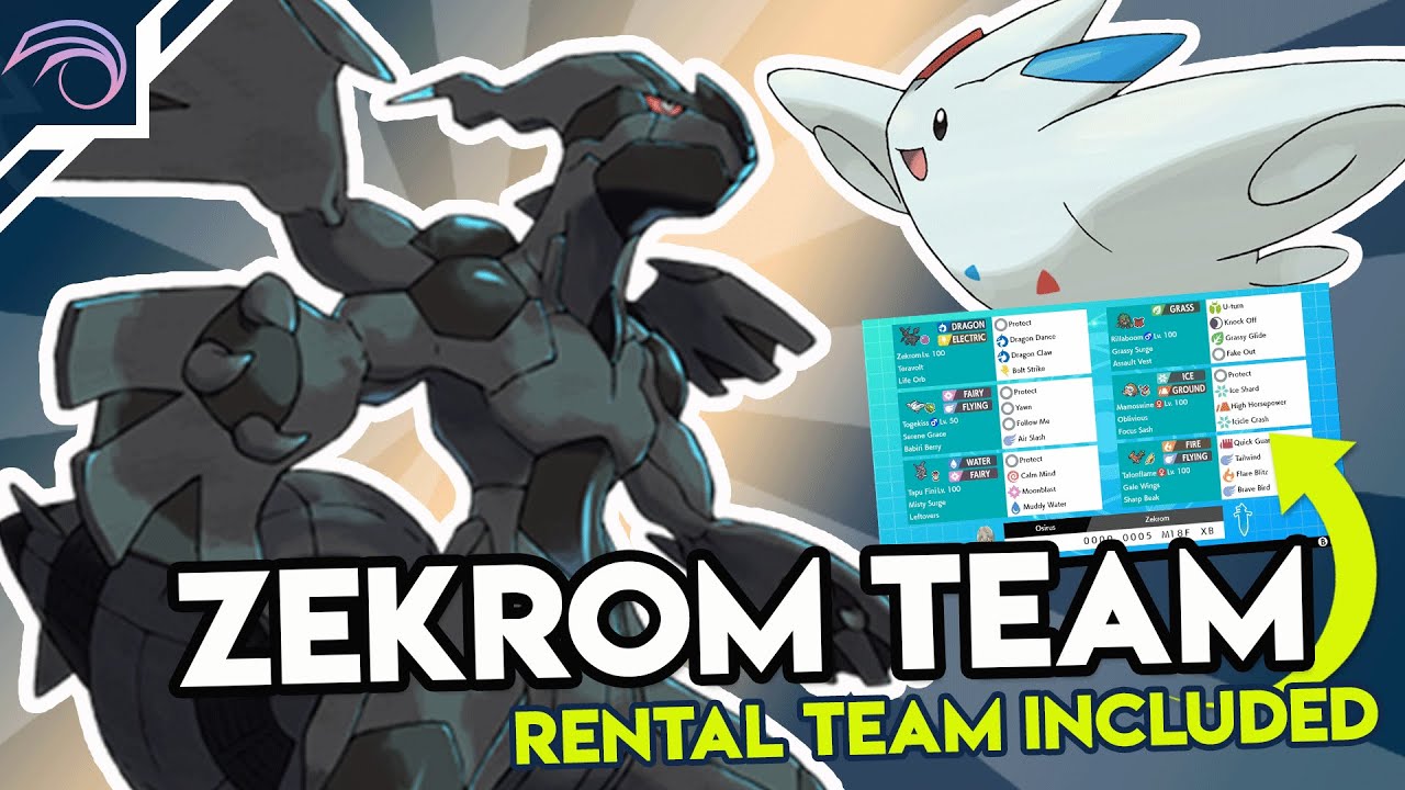SERIES 10 ZEKROM TEAM VGC 2021 Competitive Pokemon Sword and Shield